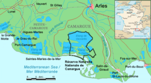 Sortie en Camargue @ aix en provence